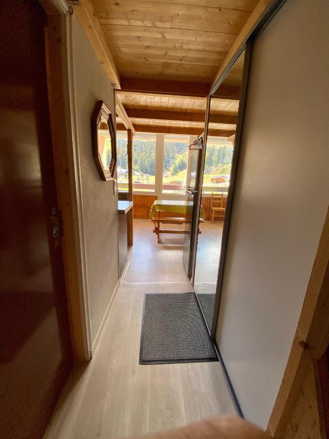 Super Lioran - Appartement Entierement Equipe Laveissière Zewnętrze zdjęcie